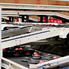 高质量发展看陕西丨乡村振兴,这边“丰”景独好