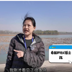 2025打卡中国丨于黄河岸边谱写中国生态治理新篇章