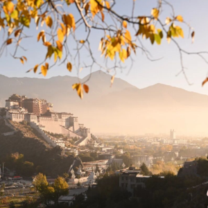 东西问｜杨娜：科技让西藏布达拉宫在开放与保护中平衡