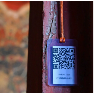 东西问｜杨娜：科技让西藏布达拉宫在开放与保护中平衡