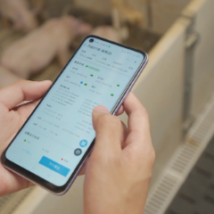 新华视点｜锻造新引擎：创新改革引领新质生产力发展