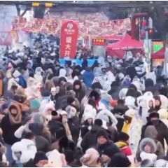 视频丨嘎嘎香！去哈尔滨解锁“烟火早市+冰雪盛景”双打卡模式