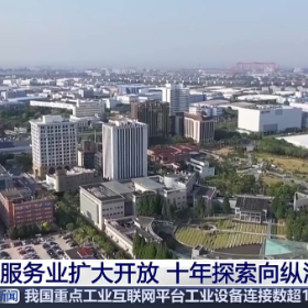 10年创新探索 1300多项任务 服务业扩大开放向纵深推进