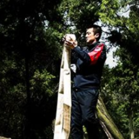 守得桥山见翠柏