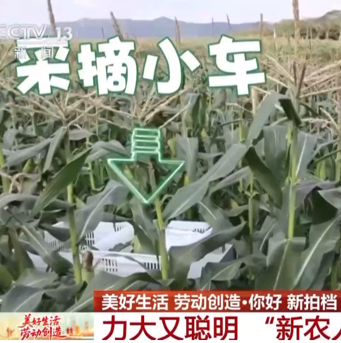 力大又聪明 “新农人”的新拍档上线了