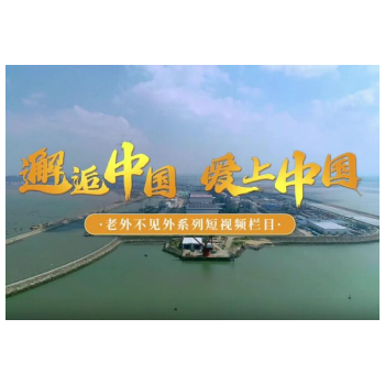 邂逅中国 爱上中国丨阿富汗留学生阿玛尔：绿色发展征程上，感受中国拥抱未来的步伐