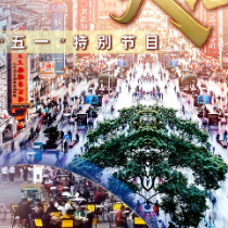 大市场 大活力丨为何要在树上种铁皮石斛？这里石斛“上树”林下“生金”