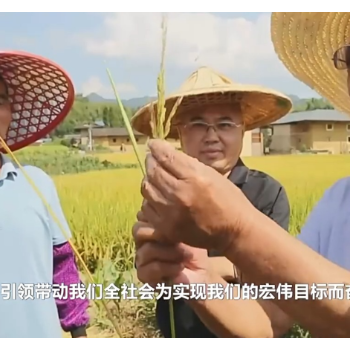 焦点访谈丨致敬科技工作者 以坚守创新托举强国未来