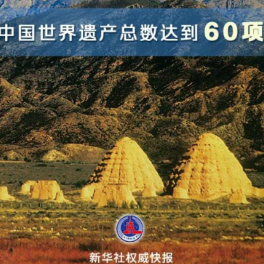 “西夏陵”，申遗成功！