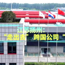 活力中国调研行｜江苏扬州：本土企业“走出去” 跨国公司“引进来”