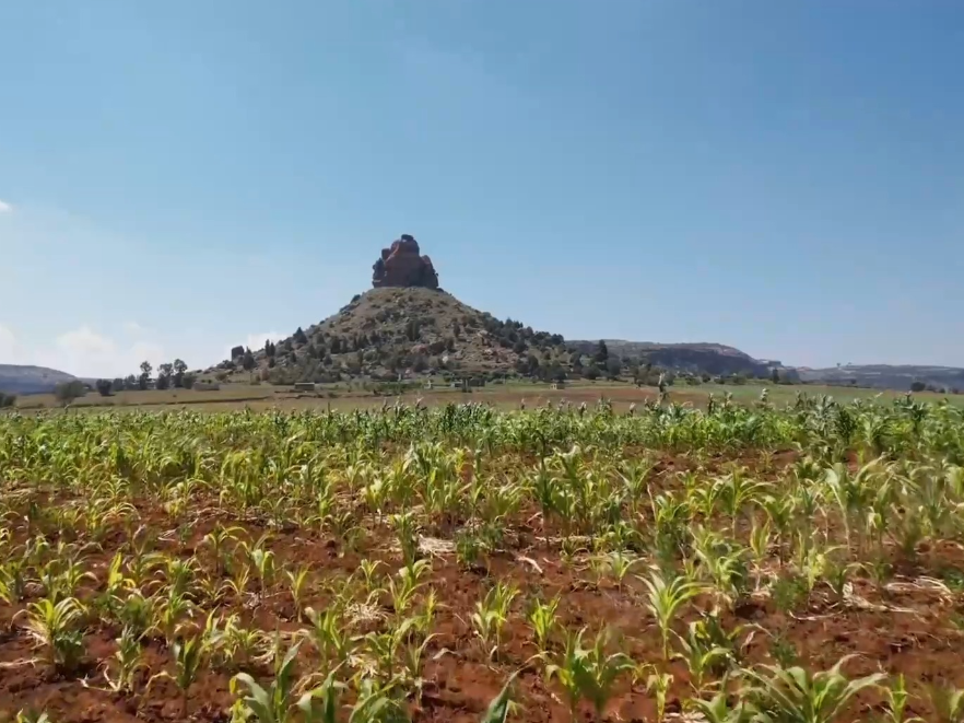 记者Vlog丨“天空之国”莱索托 中非交流落地生根