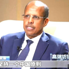 高端访谈丨非盟委员会主席优素福：非盟坚定支持一个中国原则