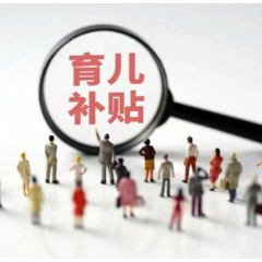 关系育儿补贴申领、新房购置……这些事,今年高效办(附清单)