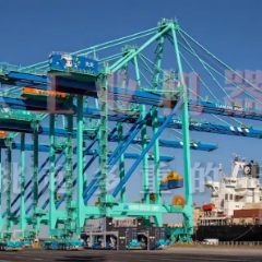 寻找隐形冠军｜意想不到的它