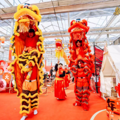 数读中国开局新活力 | 新春“新玩法”！5800余项文旅活动点燃年味