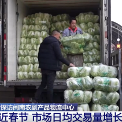 各地多措并举守护市民“菜篮子”供应足、价格稳 喜庆祥和过大年