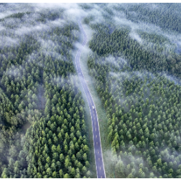 两会新华鲜报｜“典”亮人与自然和谐之路！中国第二部法典将诞生