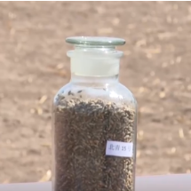 “北斗+”科技兴农绘就农耕新图景 广袤高原奏响“智慧春耕曲”