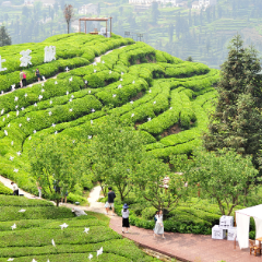 好评中国丨服务业春潮涌动 以扩能提质激活发展新动能