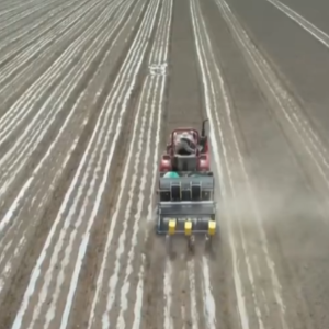 广袤田野生机无限 科技显身手为粮食稳产增收筑牢根基