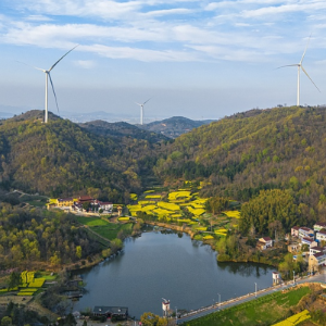 中国经济信心说丨全球“增绿”最多最快是如何炼成的