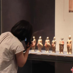 文化中国行丨为一个馆赴一座城,河北小众博物馆频“出圈”