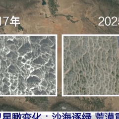 从生态修复到“沙海生金” 古尔班通古特沙漠绿量持续扩容