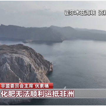非盟委员会主席：中国零关税政策恰逢其时
