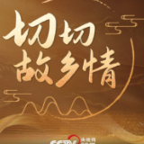 微视频｜切切故乡情
