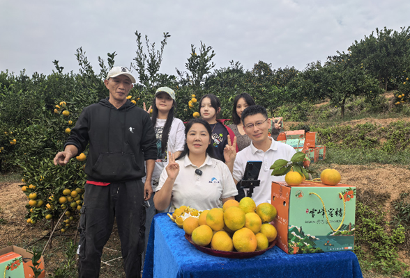 湖南科技大学驻村第一书记直播带货 雪峰蜜桔飘香出圈