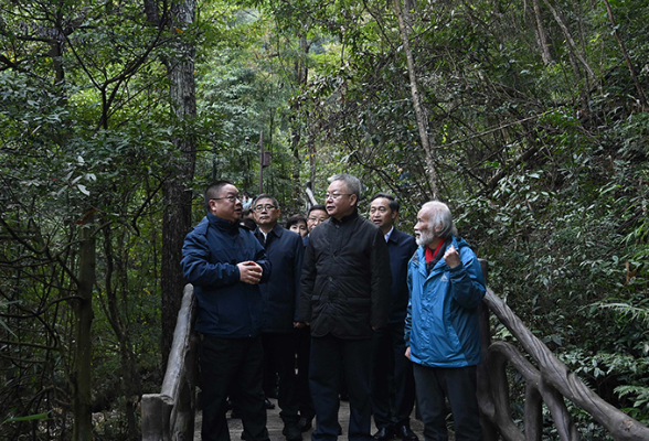 沈晓明赴郴州市开展巡林工作