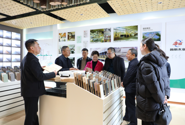 湖南省县域经济研究会赴新田县开展专题调研