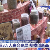 第四届中非经贸博览会：冈比亚新农人见证中非农业友好合作