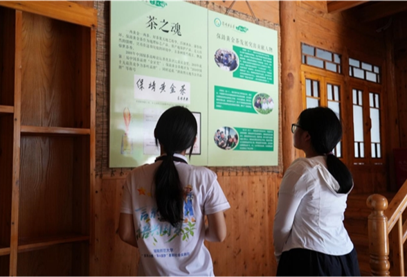 湖南师范大学新传院实践团赴湘西保靖开展茶产业调研