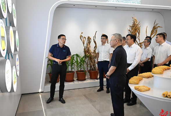 沈晓明调研湖南相关企事业单位驻海南机构运行发展情况 冯飞一同调研