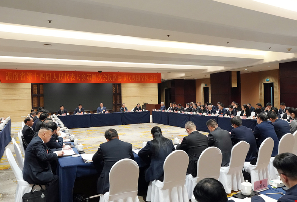 毛伟明参加常德市代表团审议