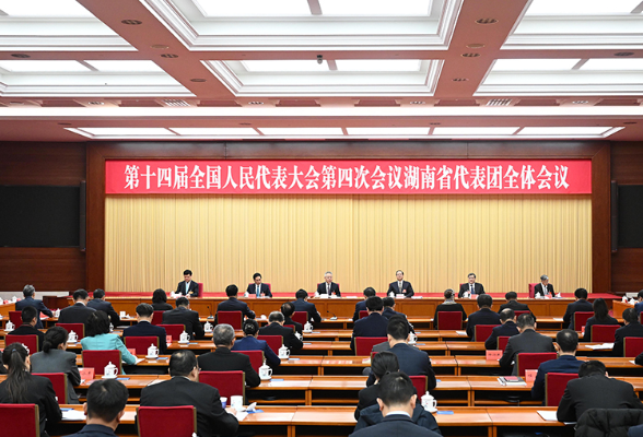 湖南代表团举行第五次全体会议和分组会议