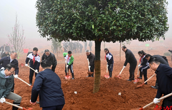 全省集中义务植树活动举行 沈晓明毛伟明毛万春参加