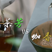 何以为她丨冲泡出芬芳人生