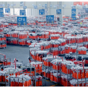 改革者 正青春｜一朵鲜花如何“链接”全球市场？