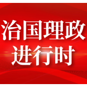 思想之光照亮法治航程——习近平法治思想引领新时代法治中国建设述评