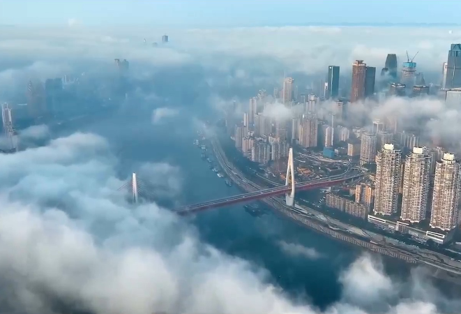 微视频｜“大海”的底气