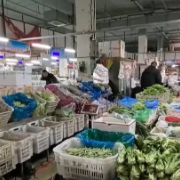 应对低温挑战 多地数措并举保障百姓“菜篮子”供应充足