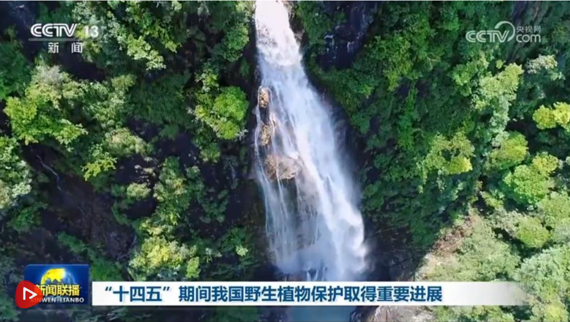 86e5fe22-e3e1-4bfa-b224-064a3a4a4064.png 86e5fe22-e3e1-4bfa-b224-064a3a4a4064.png