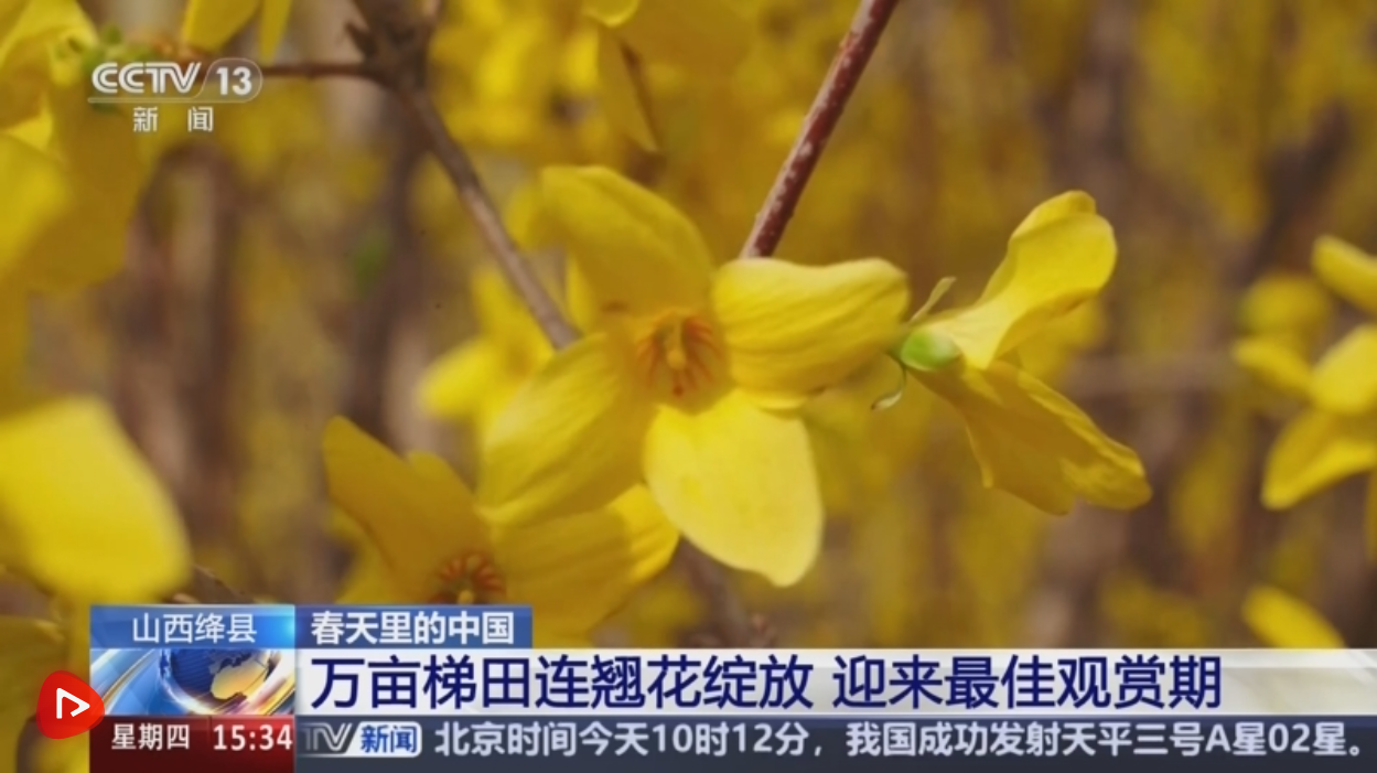 88c9efa0-57eb-43ab-a337-5f1e35c3c163.png