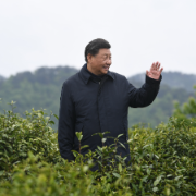 图文故事｜“把茶产业做大做强”