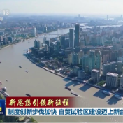 【新思想引领新征程】制度创新步伐加快 自贸试验区建设迈上新台阶