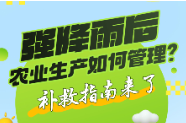 长图丨强降雨后，农业生产如何管理？补救指南来了→