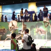 逛博物馆、探索自然……北京夏日奇妙夜 开启夜游新场景
