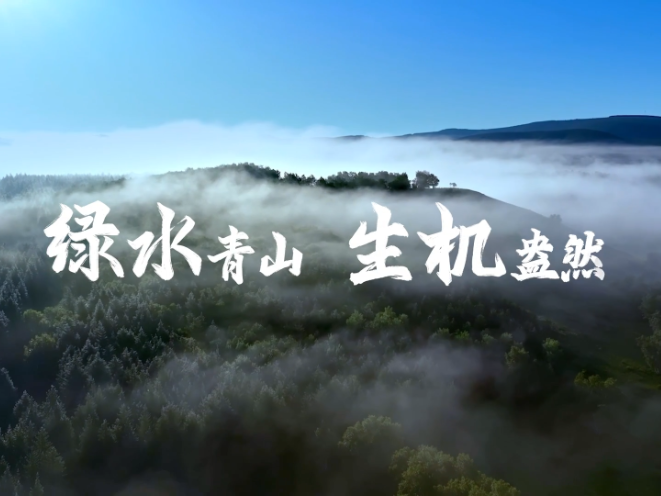 4269平方公里，习近平关切这个绿色“国宝”